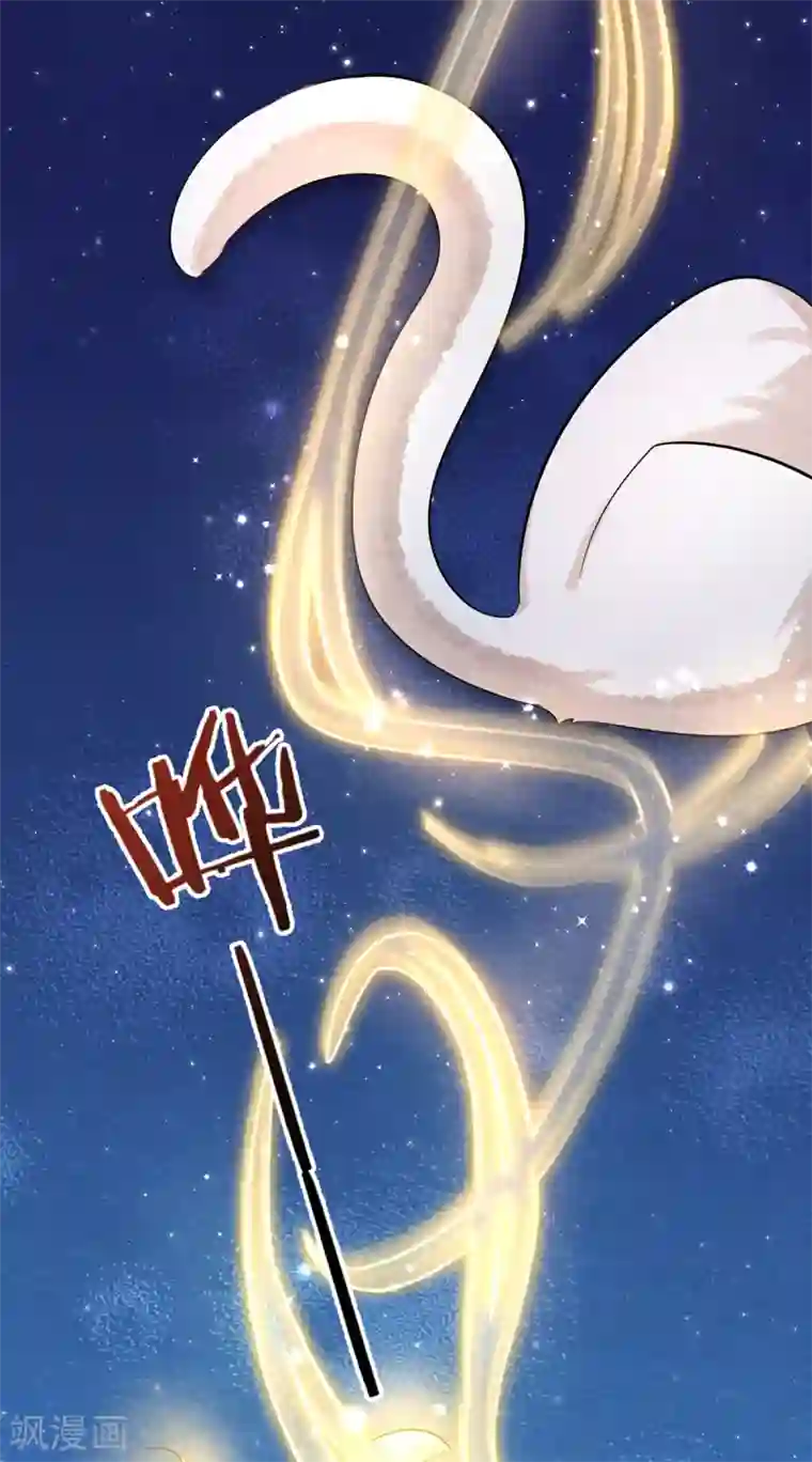 杨戬第3话 变变变！我是猫啦~