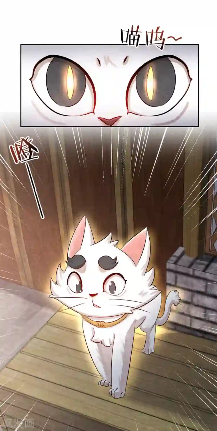 杨戬第3话 变变变！我是猫啦~