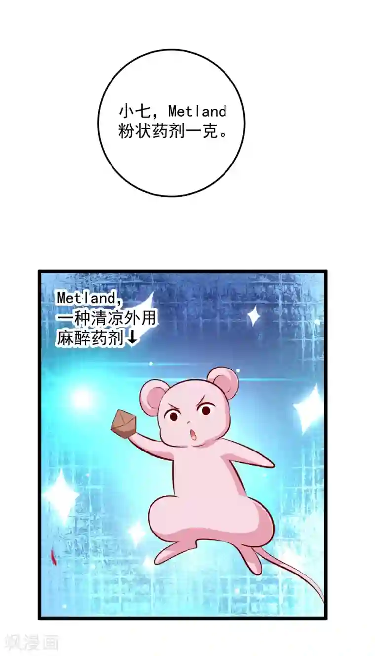 帝凰之神医弃妃第76话 亲王追忆