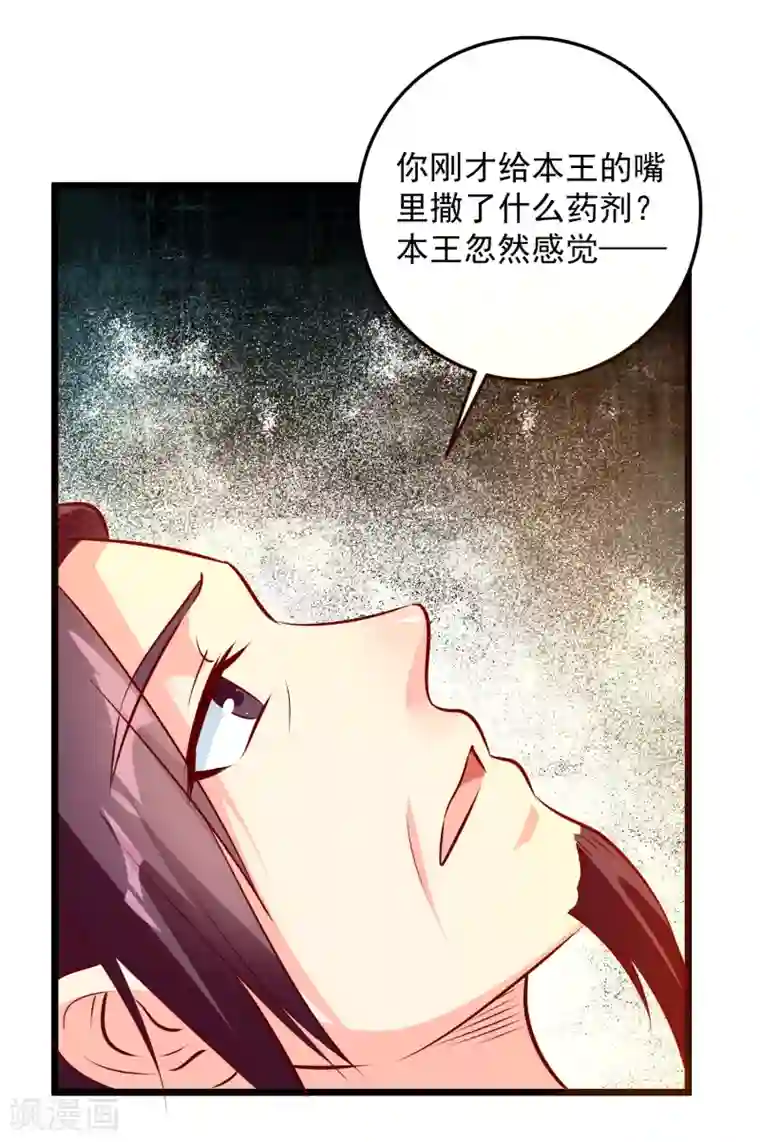 帝凰之神医弃妃第76话 亲王追忆