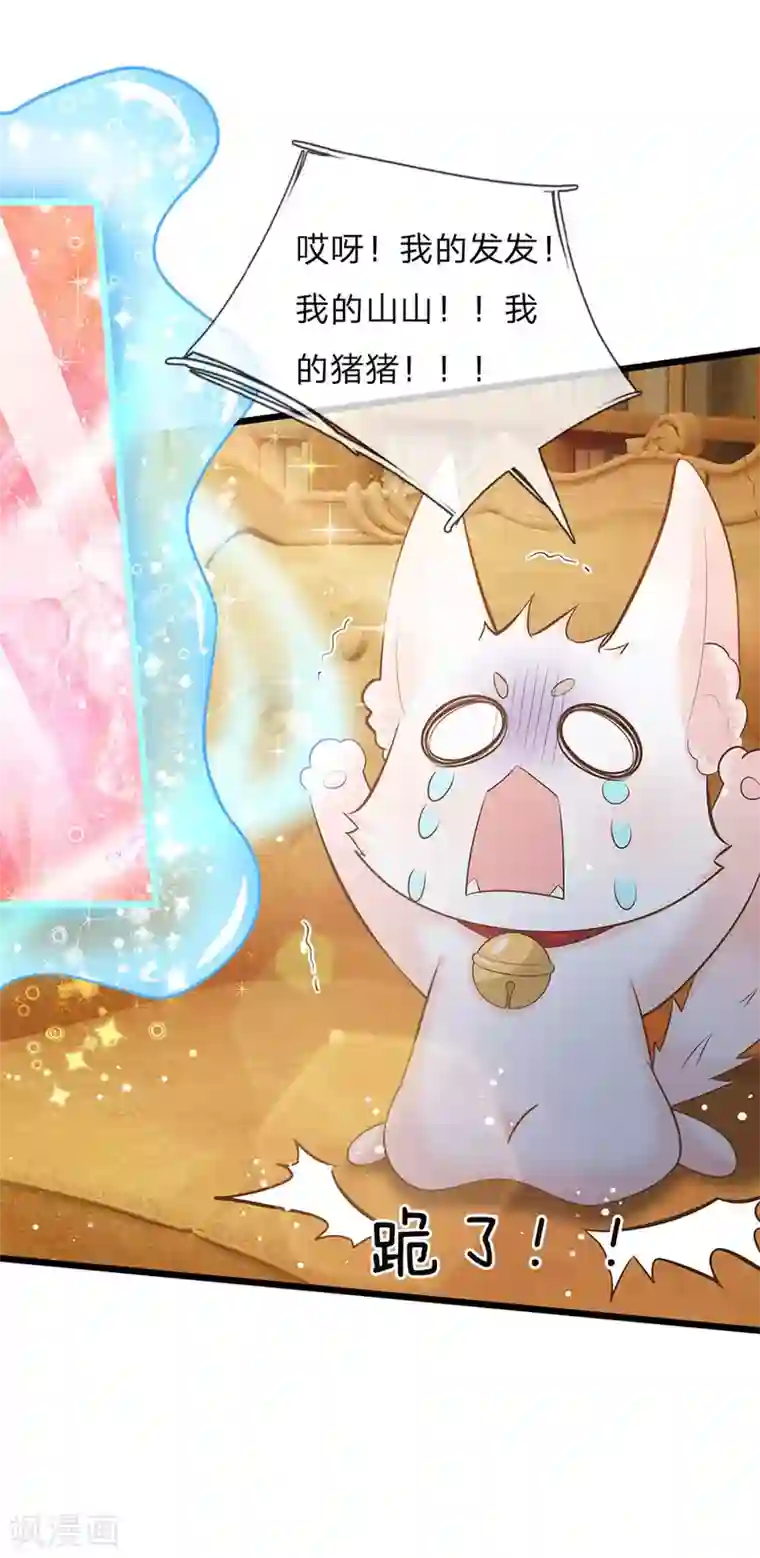 皇帝陛下的天价宝贝第152话 胖胖！