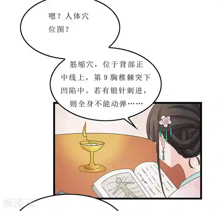 重生之弃妃为后第11话 紫苏姑娘