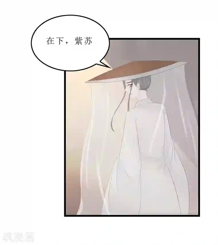 重生之弃妃为后第11话 紫苏姑娘