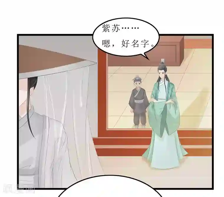 重生之弃妃为后第11话 紫苏姑娘