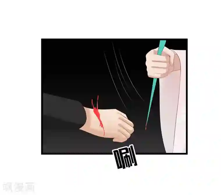 重生之弃妃为后第28话 太学府测试