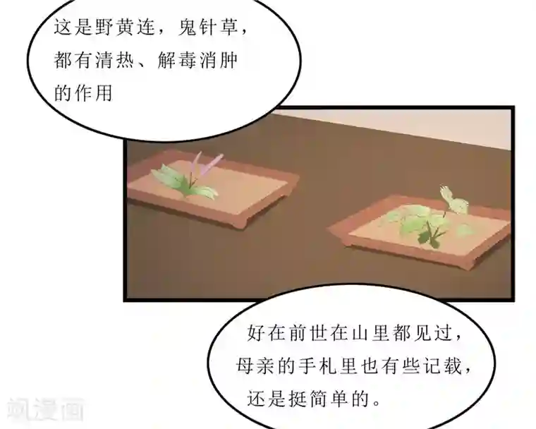 重生之弃妃为后第31话 测试开始