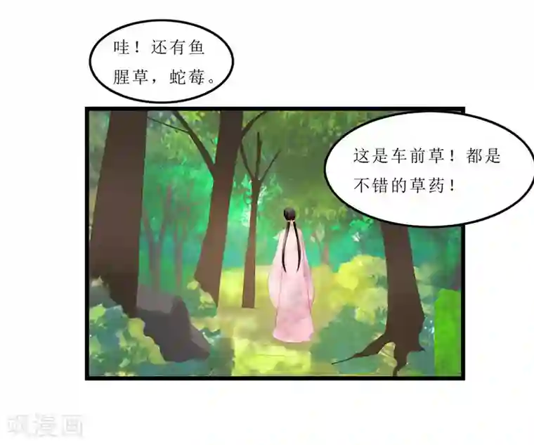 重生之弃妃为后第33话 组队进山