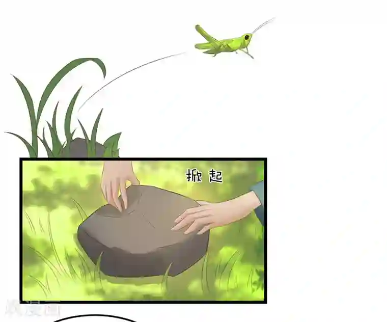 重生之弃妃为后第33话 组队进山