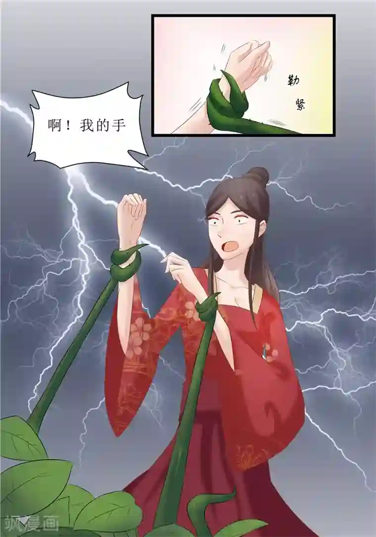 重生之弃妃为后第35话 别碰那朵花！