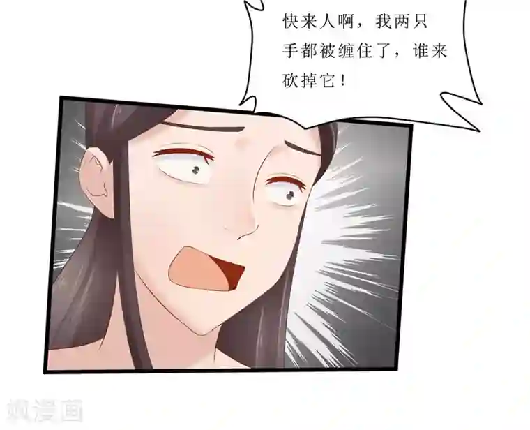 重生之弃妃为后第35话 别碰那朵花！