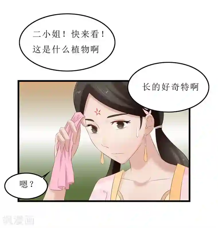 重生之弃妃为后第35话 别碰那朵花！