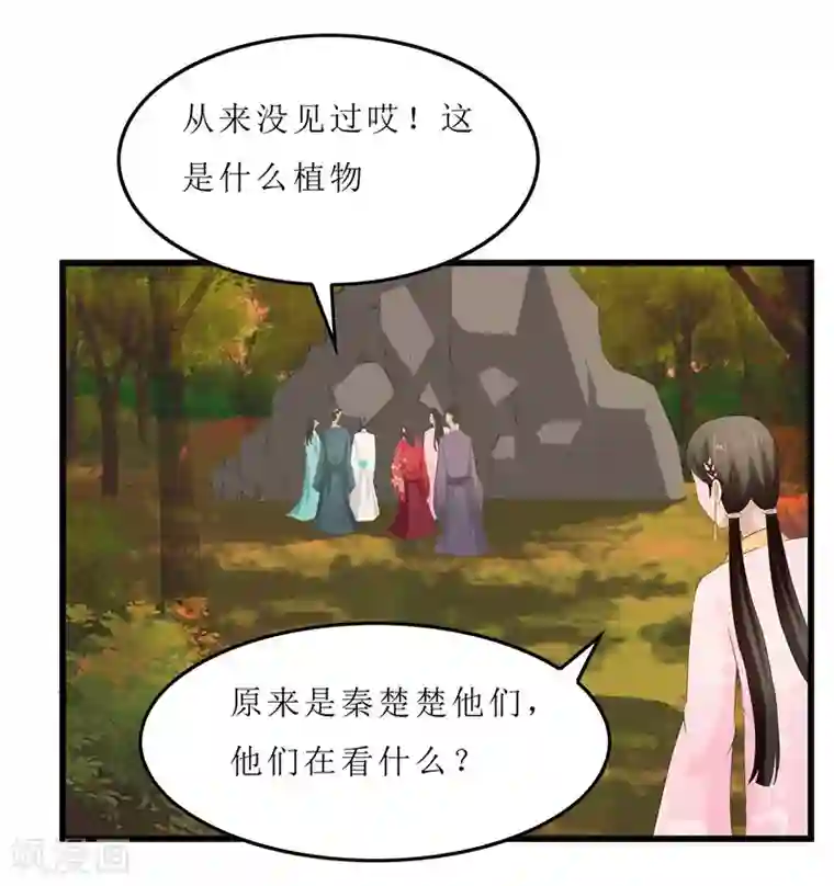 重生之弃妃为后第35话 别碰那朵花！