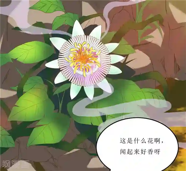 重生之弃妃为后第35话 别碰那朵花！