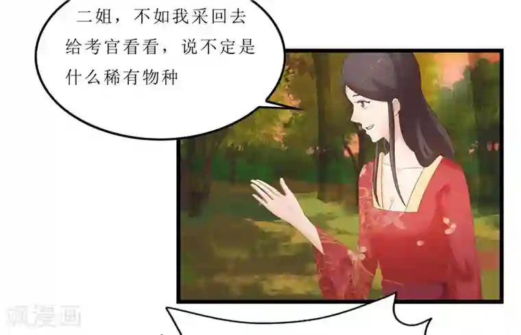 重生之弃妃为后第35话 别碰那朵花！