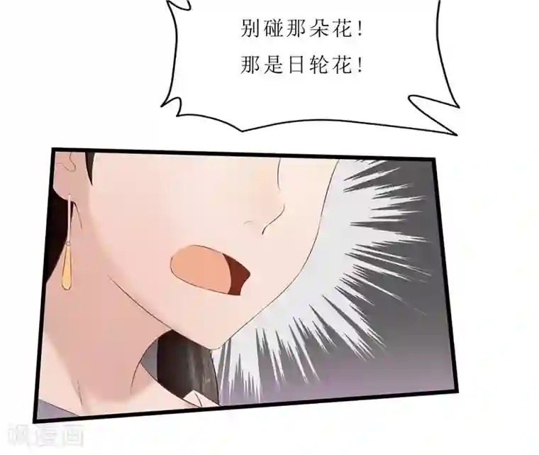 重生之弃妃为后第35话 别碰那朵花！