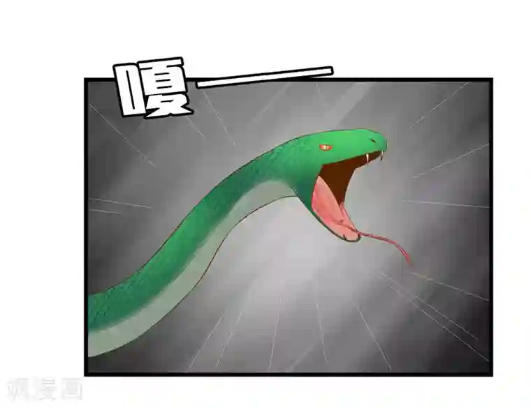 重生之弃妃为后第37话 秦思思，我恨你！