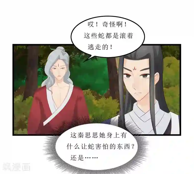 重生之弃妃为后第37话 秦思思，我恨你！