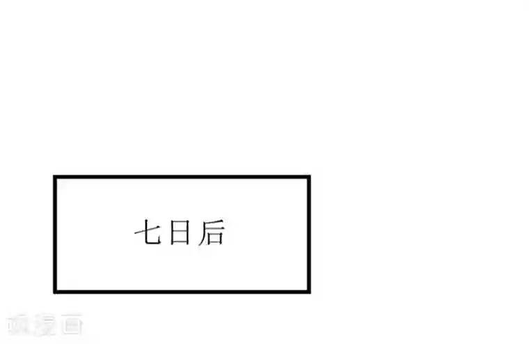 重生之弃妃为后第39话 婚约