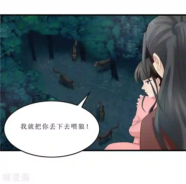 重生之弃妃为后第41话 把你丢去喂狼！