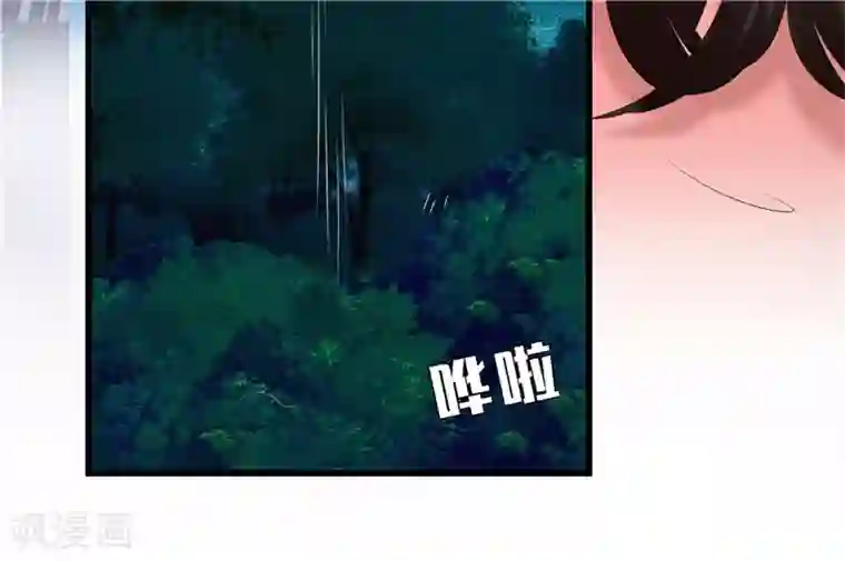 重生之弃妃为后第41话 把你丢去喂狼！