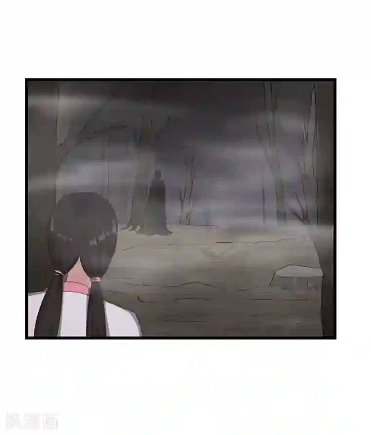 重生之弃妃为后第62话 再遇黑衣人