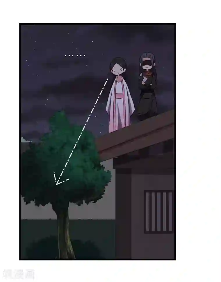 重生之弃妃为后第65话 狸猫换太子