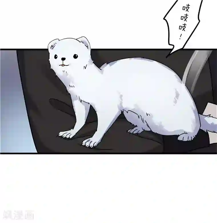 重生之弃妃为后第70话 礼物