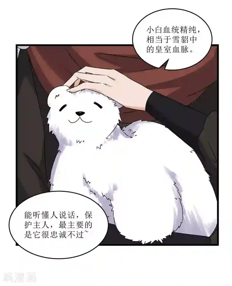 重生之弃妃为后第70话 礼物