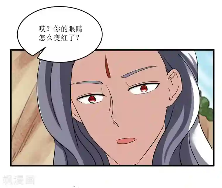 重生之弃妃为后第74话 杀无赦