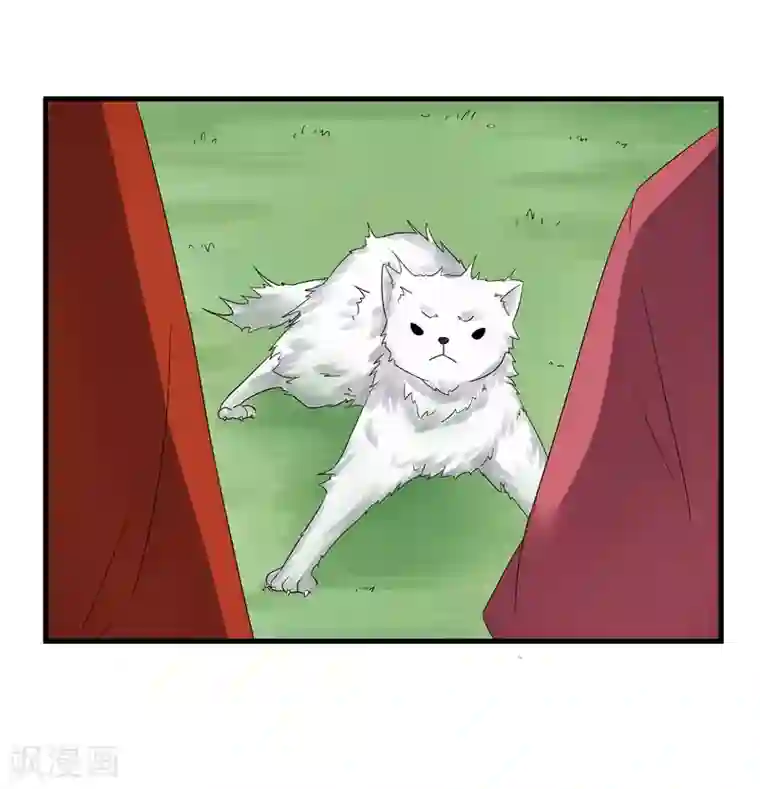 重生之弃妃为后第76话 你为什么要救我？