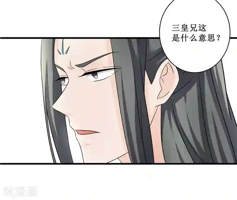 重生之弃妃为后第78话 璃世子，别来无恙