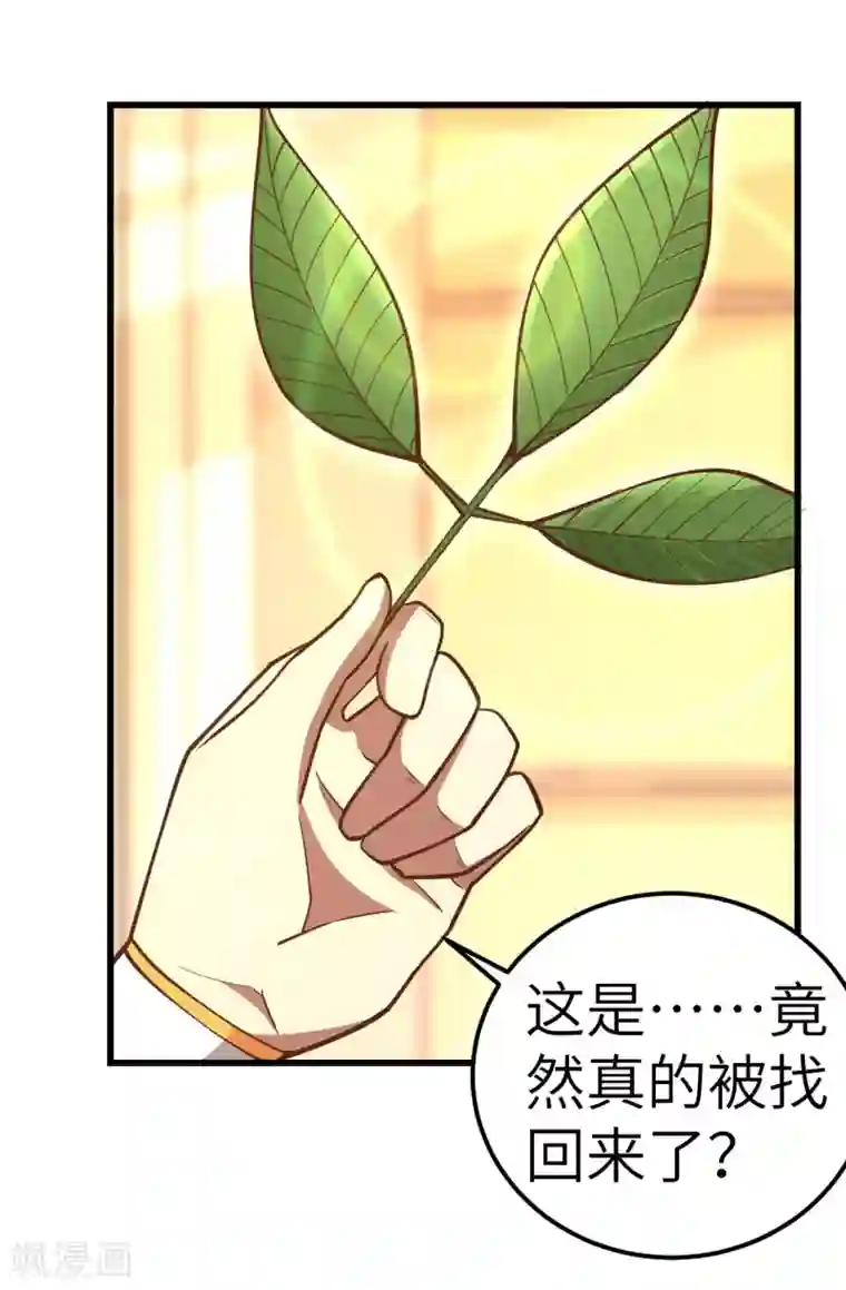 从今天开始当城主第217话