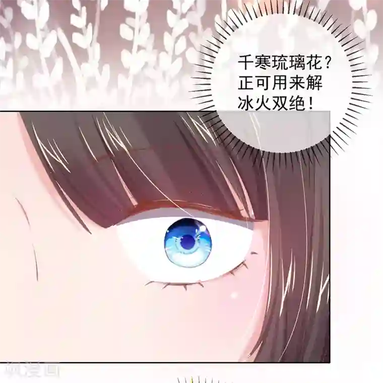 嗜血医妃第55话 百花盛宴本小姐去定了