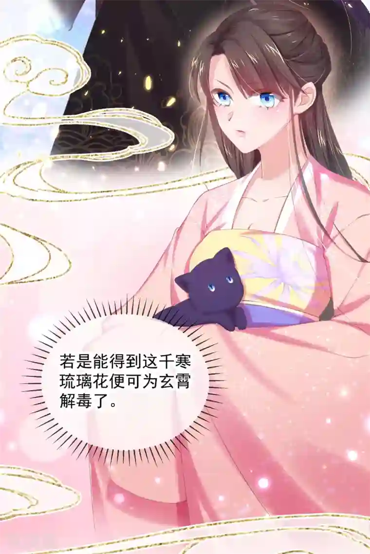 嗜血医妃第55话 百花盛宴本小姐去定了