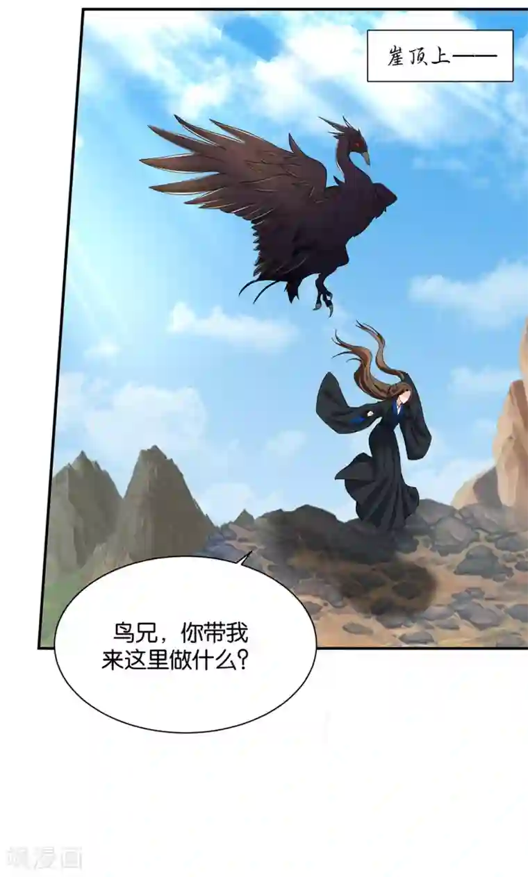 绝色医妃第200话 楚定北非礼我