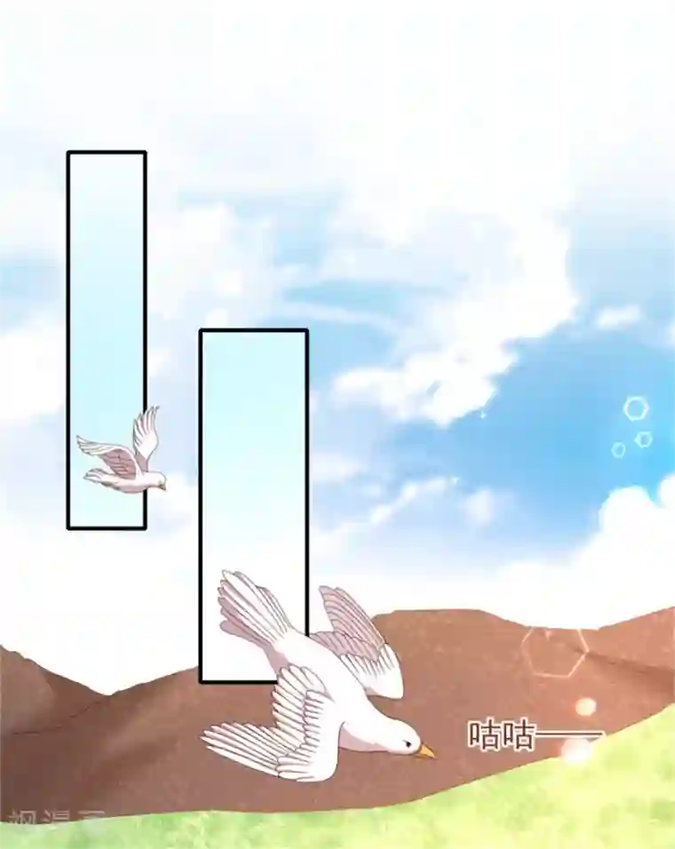 暴君别跑，公主要亡国第37话 未婚夫和鸽子的秘密