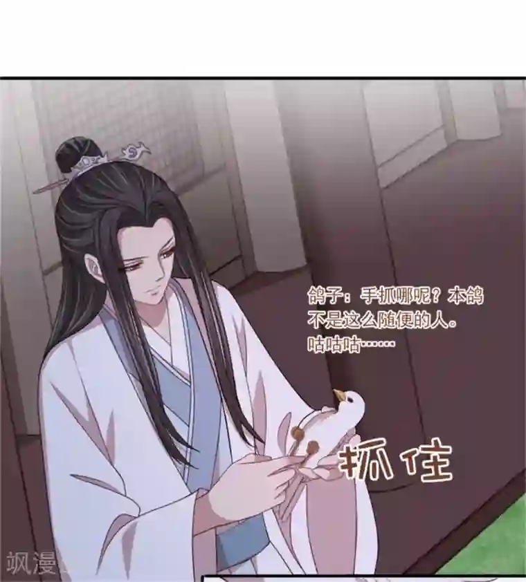 暴君别跑，公主要亡国第37话 未婚夫和鸽子的秘密