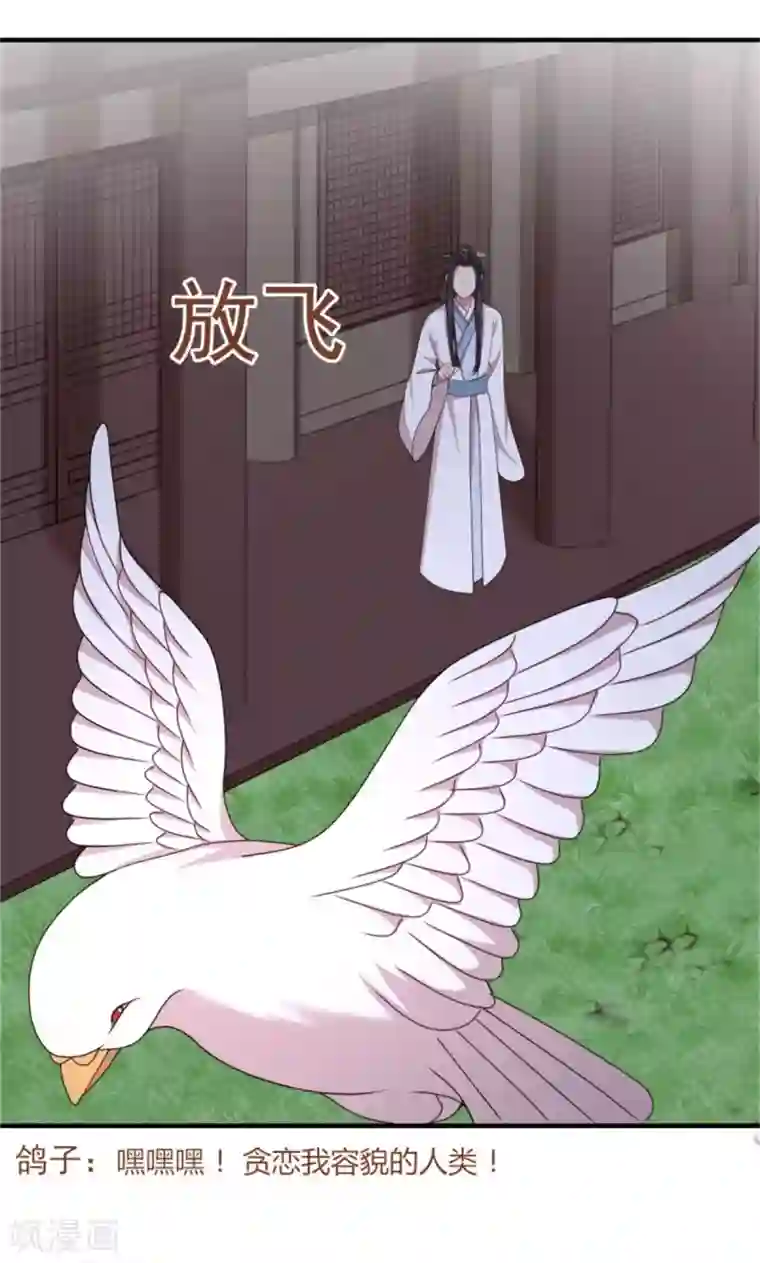 暴君别跑，公主要亡国第37话 未婚夫和鸽子的秘密