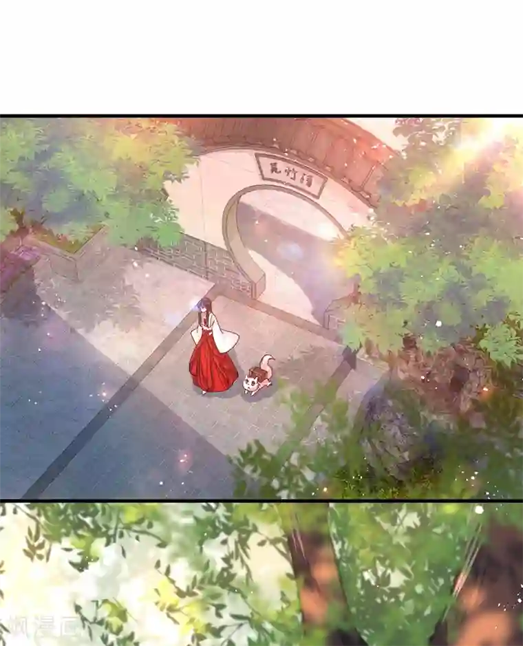 我在异界养男神：神医九小姐第17话 洗劫财宝