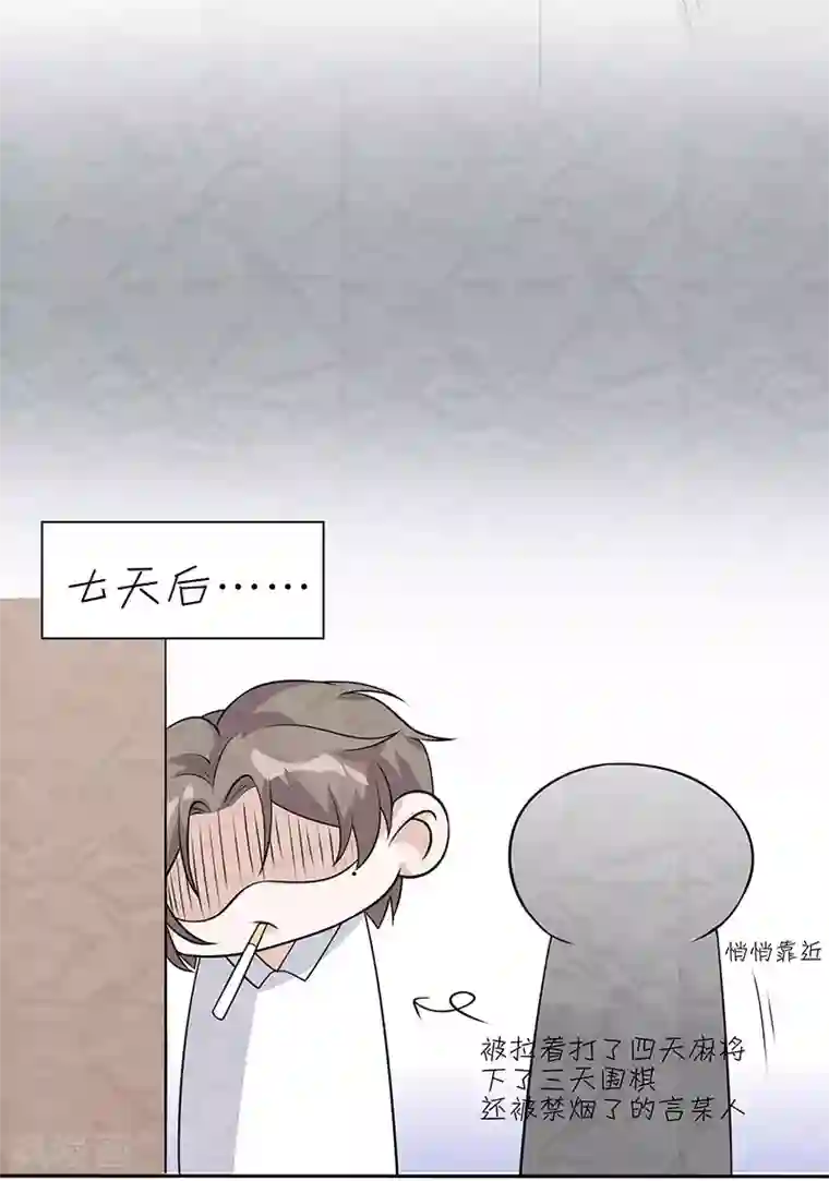 许你一场繁花似锦番外1 国庆小剧场