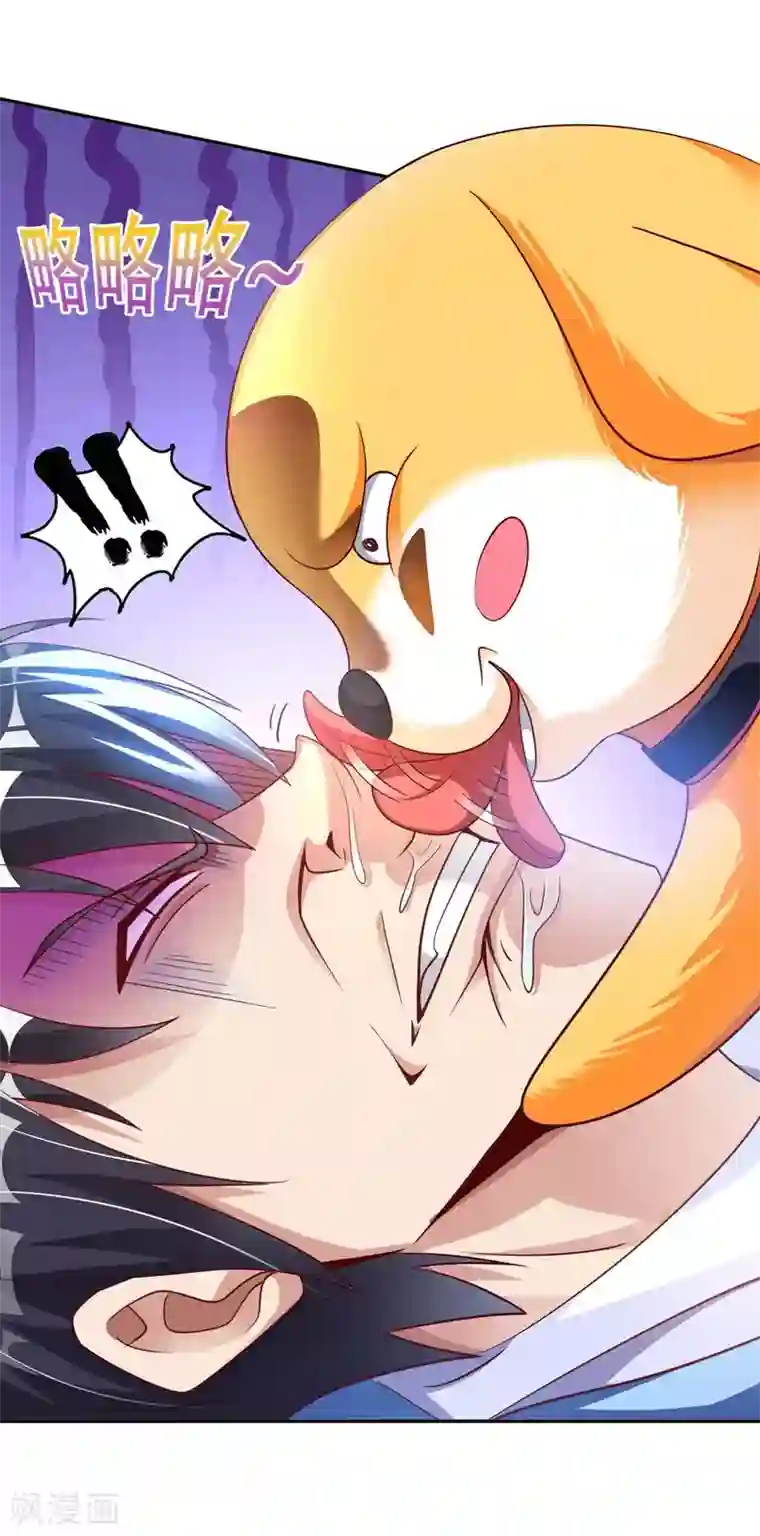 我的师傅是神仙第1话 英雄救狗