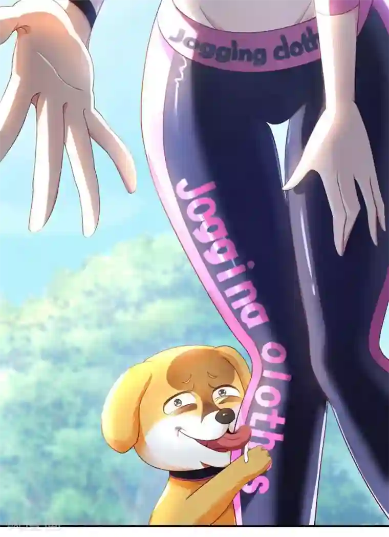 我的师傅是神仙第1话 英雄救狗