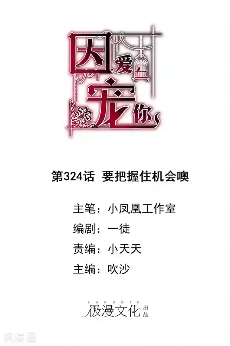 因爱宠你第324话