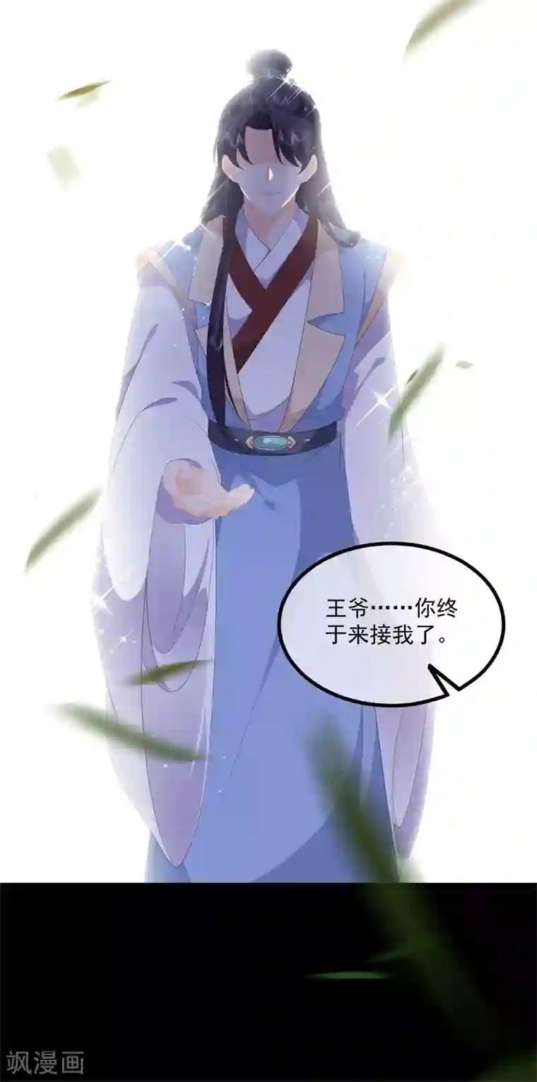 狐妃,别惹我第91话 混沌状态下的爆炸！