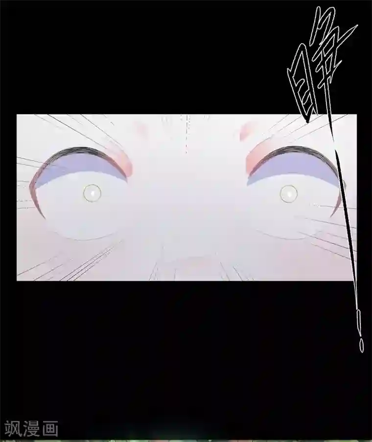 狐妃,别惹我第91话 混沌状态下的爆炸！