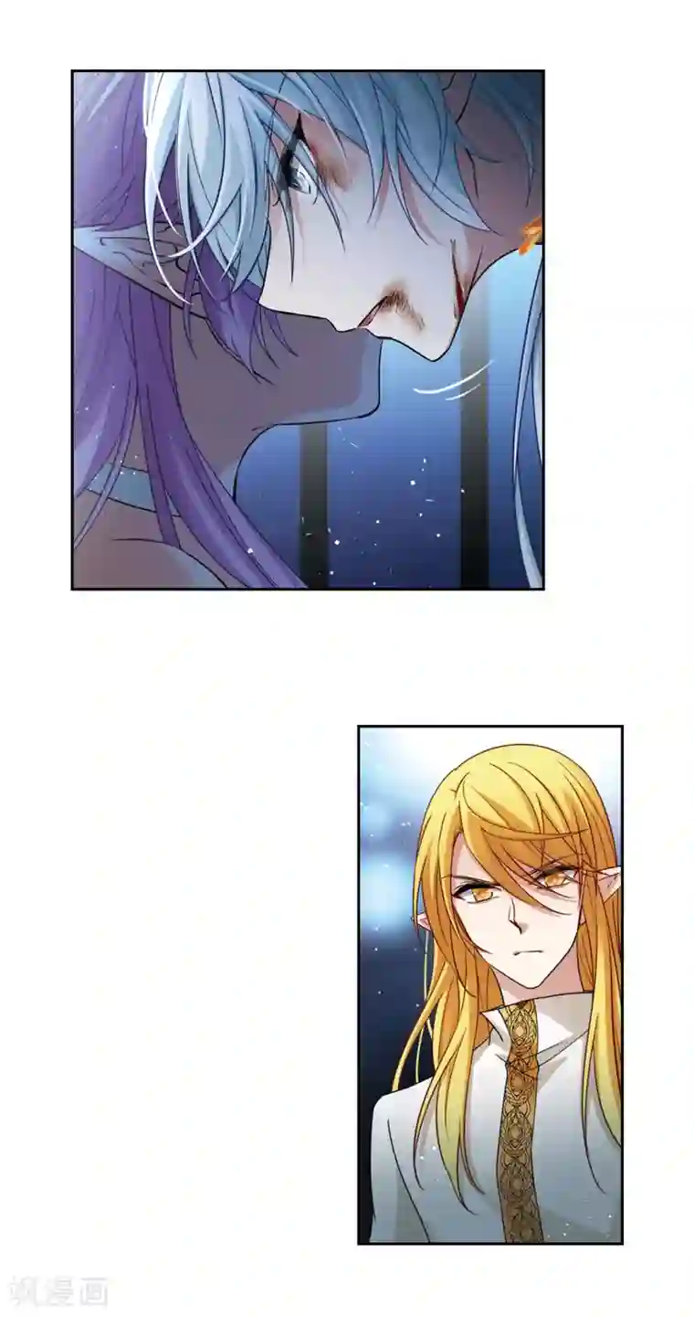 寻找前世之旅第494话 礼物1