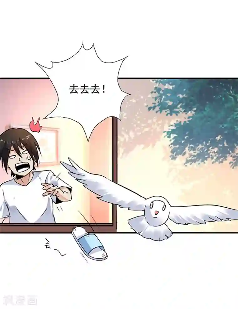 近身保镖第75话 严希