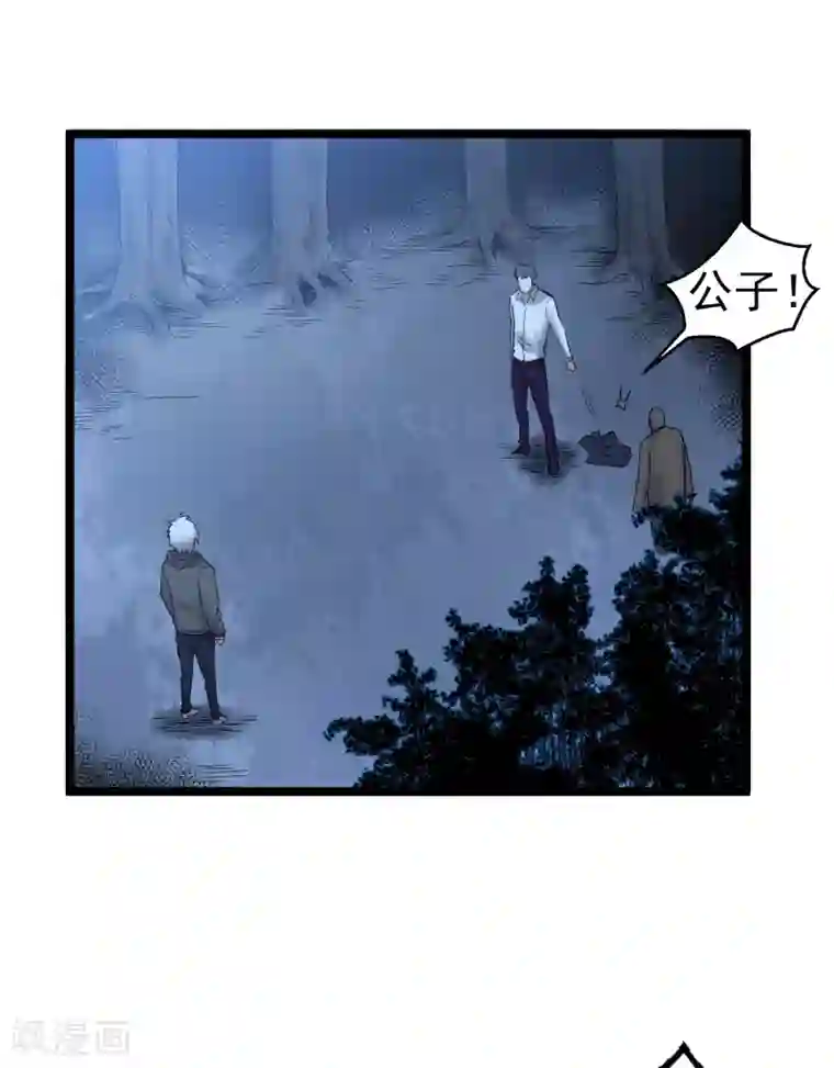 巅峰神医第79话 竹林