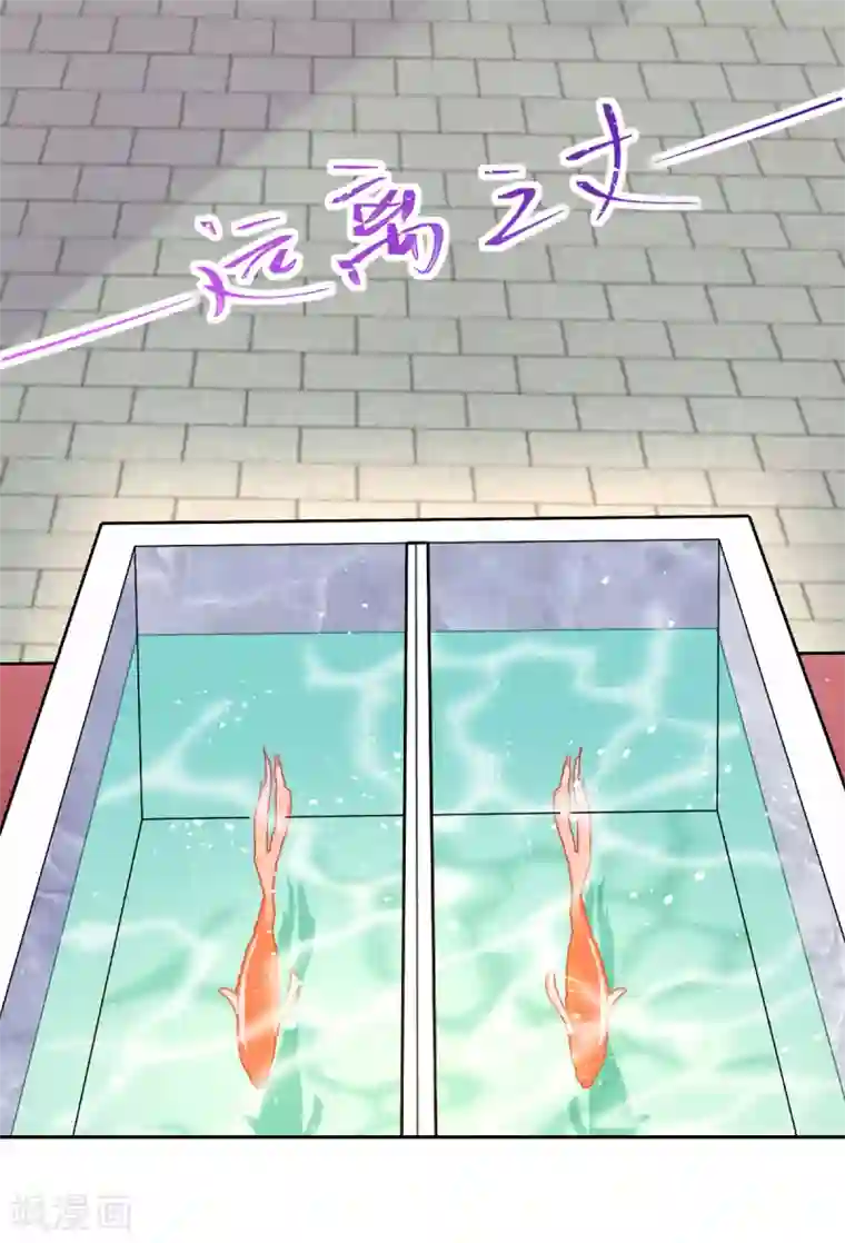 惊世狂妃第33话 斗鱼赌局，开始！