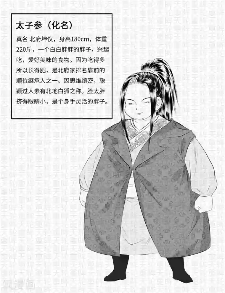 苍云游龙第8话1 资料设定